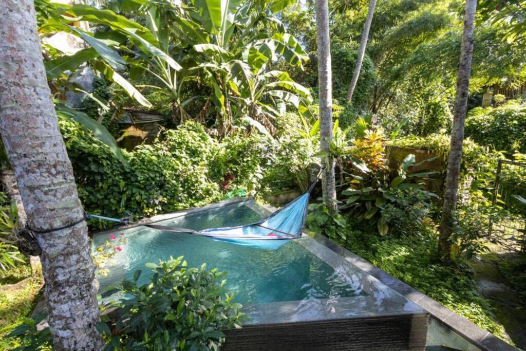 Treehouse With Private Pool Near Yogabarn - In Center Ubud