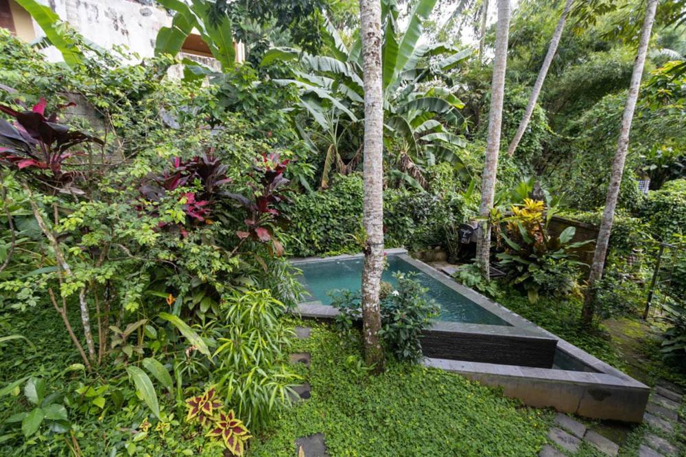 Treehouse With Private Pool Near Yogabarn - In Center Ubud