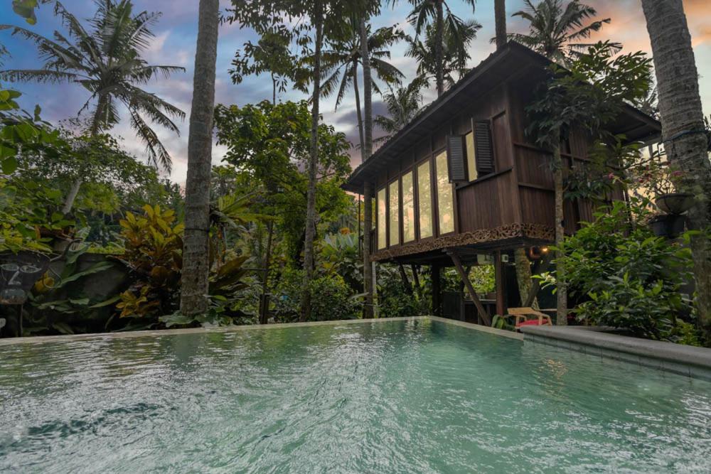 Treehouse With Private Pool Near Yogabarn - In Center Vakantiehuis
